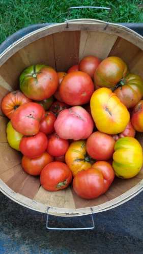 21742922_208866246315780_7379680678133384523_n