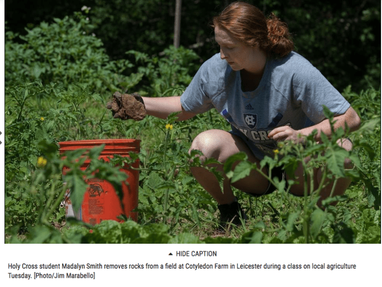 Screen Shot 2018-07-13 at 7.38.51 PM