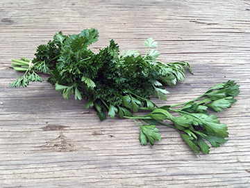 parsley